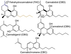 Co je CBC (Cannabichromen) ?