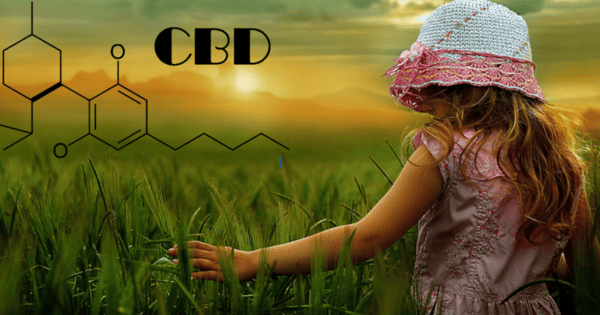 Co je to to CBD? Všecho co vás může zajímat o léčivém kanabinoidu!