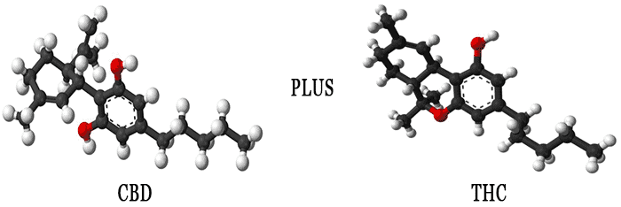 THC a CBD - základní rozdíly