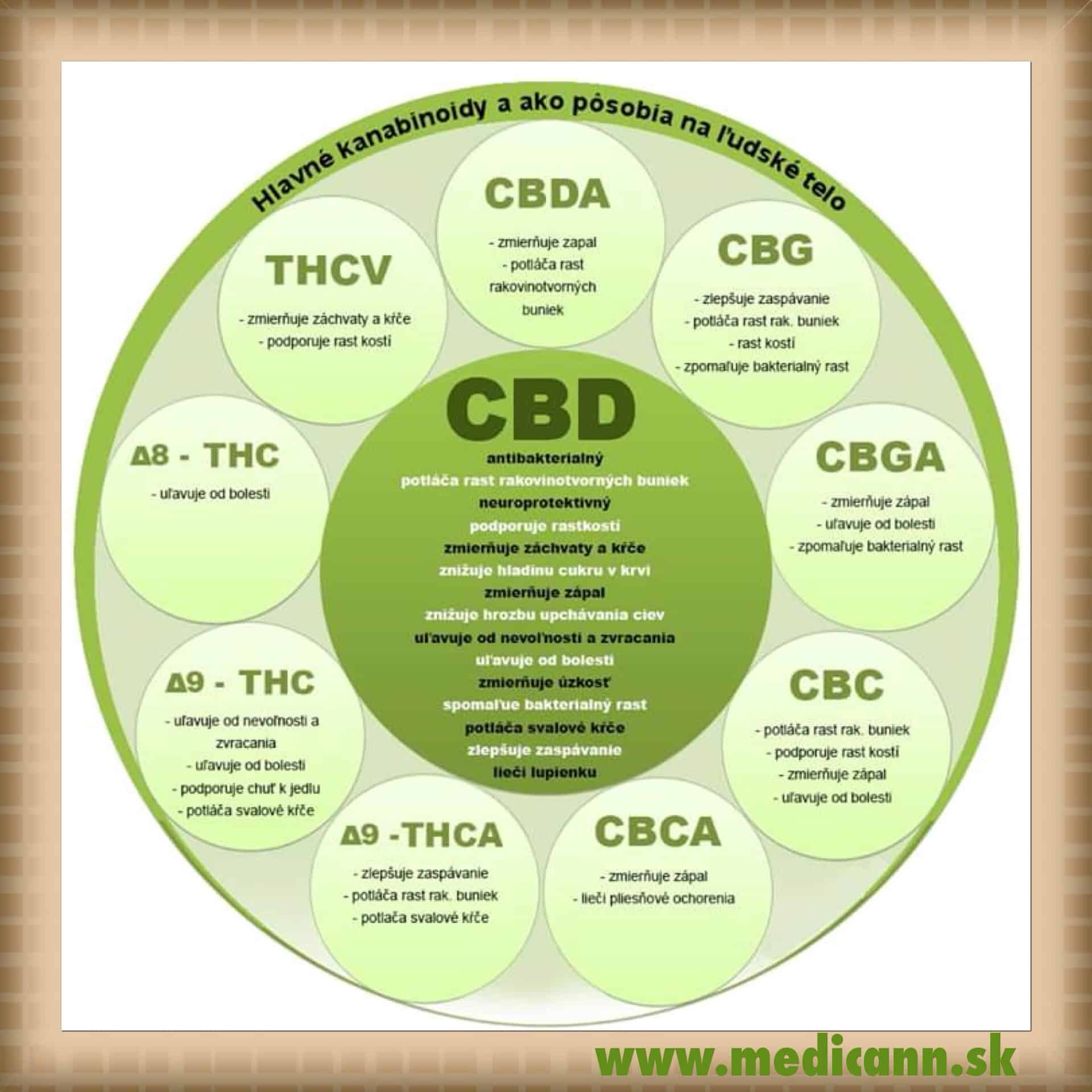 Kanabinoidy v konopí a jejich terapeutické využití v praxi
