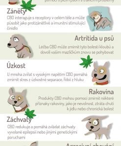 Alternative view of CBG psí pamlsky zklidňující, 400mg