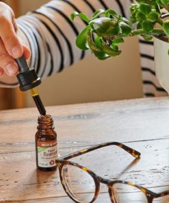 Organic Hemp Essence 5% CBG olej, 500mg