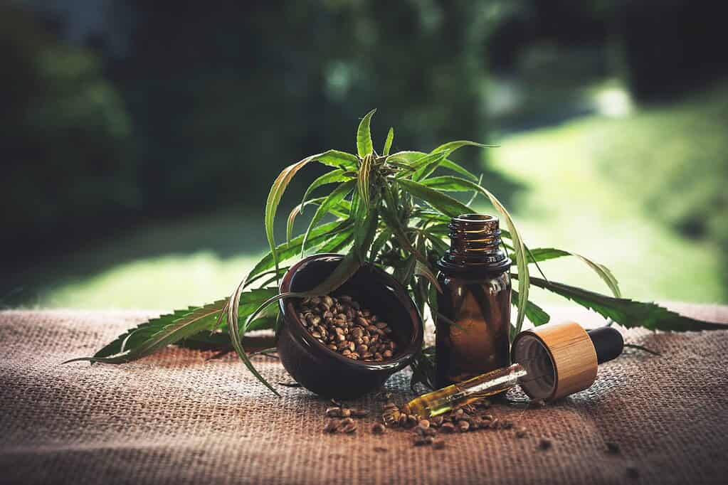 “Full” spectrum vs “Broad” spectrum vs CBD izolát: Rozdíl vysvětlen! 4 “Full” spectrum vs “Broad” spectrum vs CBD izolát: Rozdíl vysvětlen!