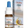 Cibiday 5% CBG olej, 500mg