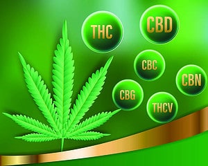 Seznam známých kanabinoidů