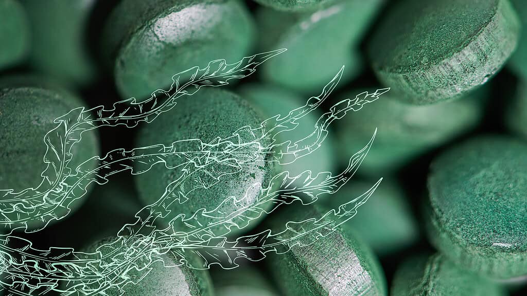 ALGAVITAL: Organické doplňky z řas pro každodenní použití 1 ALGAVITAL: Organické doplňky z řas pro každodenní použití