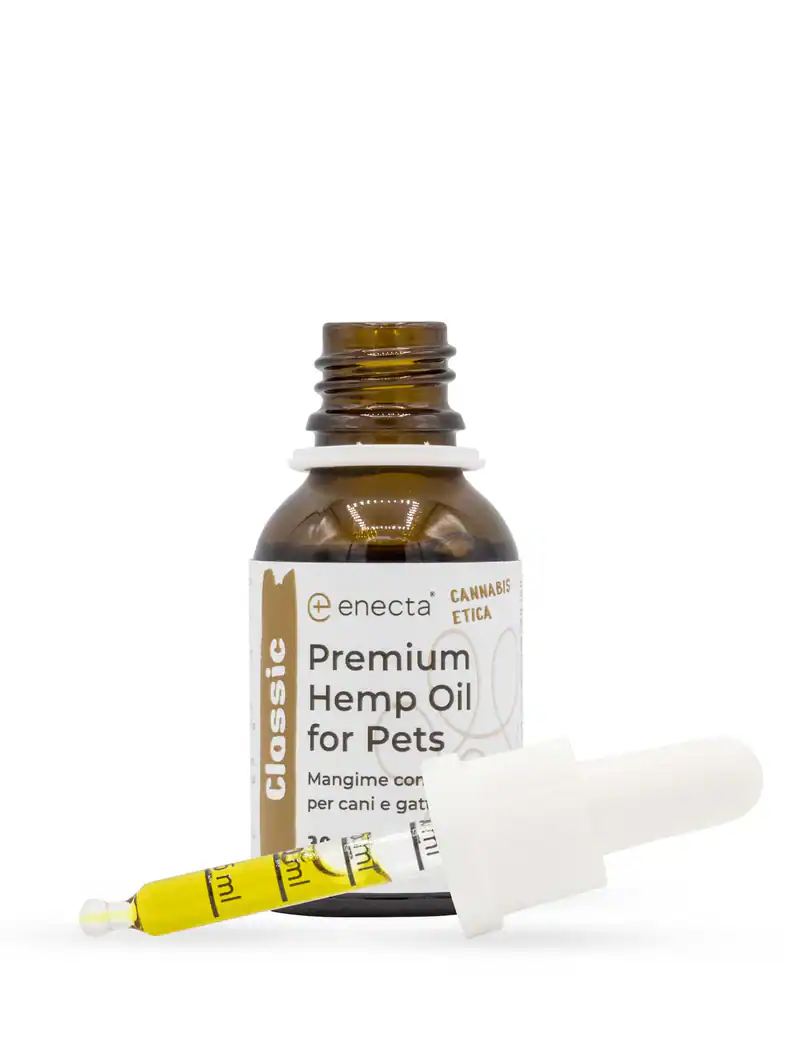 CBD konopný olej pro zvířata 5%, 1500 mg, 30ml 6 CBD konopný olej pro zvířata 5%, 1500 mg, 30ml - Obrázek 4