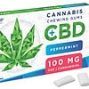 Euphoria Žvýkačky 12 ks, 17 g s CBD 100 mg - Peppermint