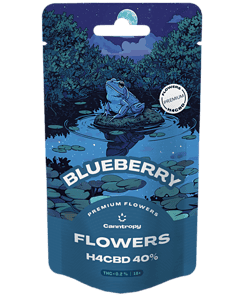 Canntropy H4CBD květ Blueberry 40%, 1 g - 100 g - Počet gramů: 10 gramů