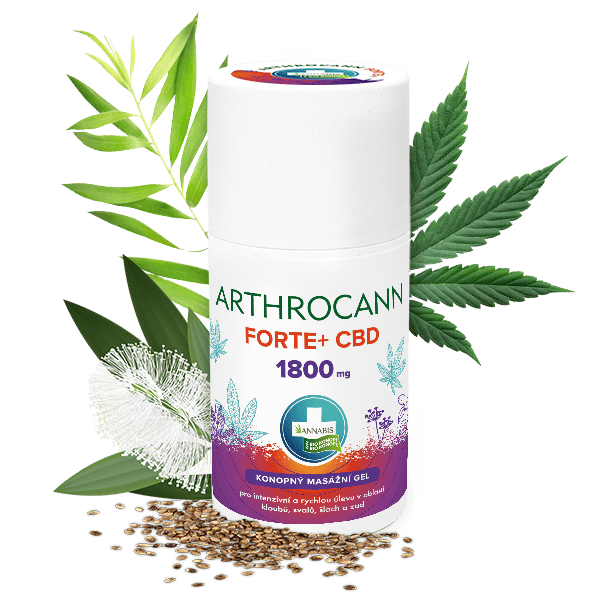 Arthrocann Forte+, masážní gel pro kolosální úlevu, 90ml, 1800mg 3 Annabis ARTHROCANN FORTE+ 1 800mg CBD – MASÁŽNÍ GEL PRO KOLOSÁLNÍ ÚLEVU