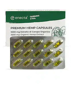 Enecta premium konopné kapsle, 1000 mg organického extraktu z konopí, 30 kapslí