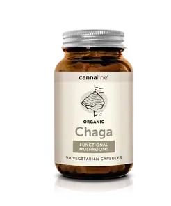 Chaga funkční houby, 90 kapslí