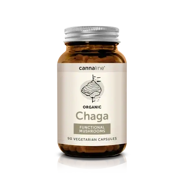 Chaga funkční houby, 90 kapslí 3 Chaga funkční houby, 90 kapslí