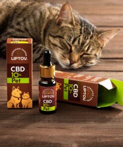 CBD 10 % PET 8 CBD 10 % PET – foto 2