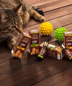 CBD 5 % PET 13 CBD 5 % PET – foto 6