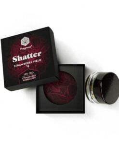 Extrakt Strawberry Field Shatter 58% CBD, 1 g 9 Extrakt Strawberry Field Shatter 58% CBD, 1 g – foto 4