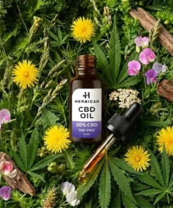 CBD olej 20% bez THC, 2 000 mg, 10 ml 7 CBD olej 20% bez THC, 2 000 mg, 10 ml – foto 3