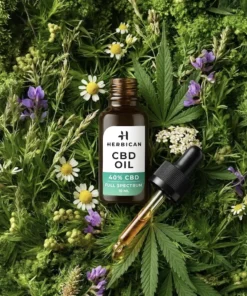 Plnospektrální CBD olej 40 %, 10 ml 7 Plnospektrální CBD olej 40 %, 10 ml – foto 3